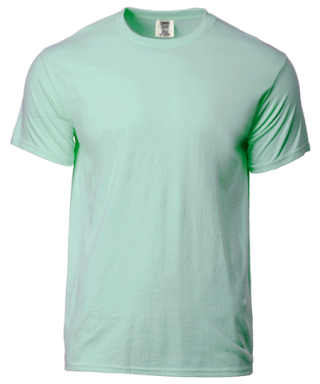 comfort colors 1717